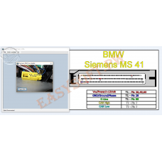 Siemens MS41 Flash Tool